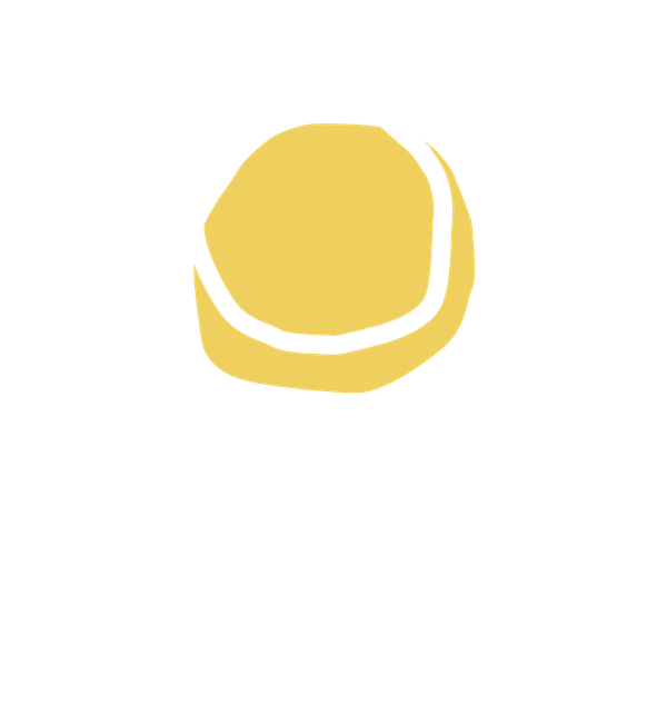 Pollem logo